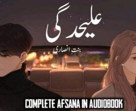 Alehdagi