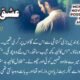 Ishq Aakhram By Ibn E Abdullah 2 80x80