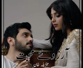 Arzoo E Mohabbat