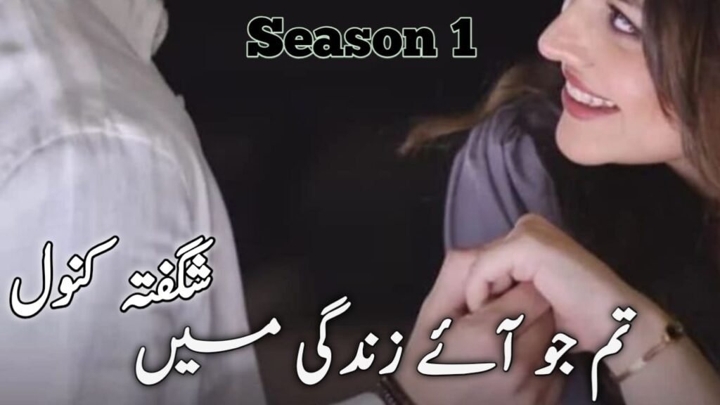 Tum Jo Aye Zindagi Main By Shagufta Kanwal Season 01 1
